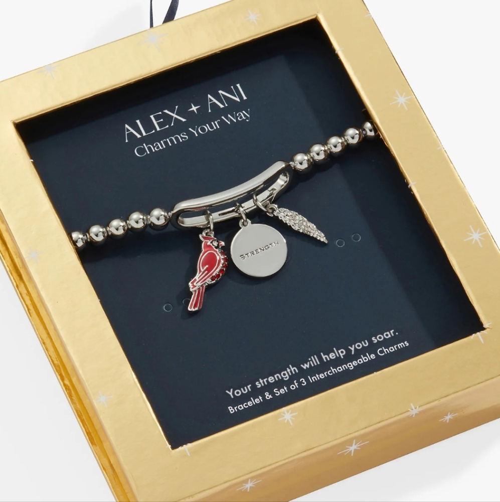 Alex and Ani Charms Your Way Silver Charm Bracelet